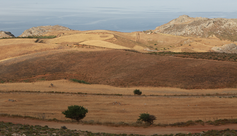 A Hike to Timeo Stavros